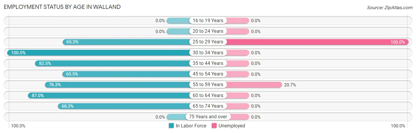Employment Status by Age in Walland