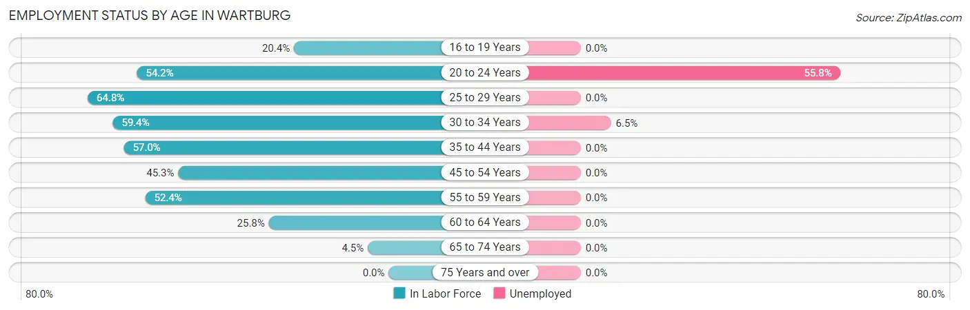 Employment Status by Age in Wartburg
