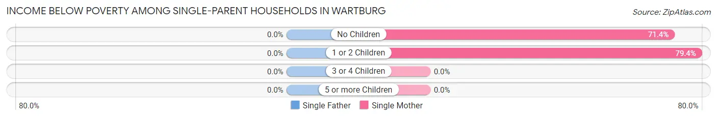 Income Below Poverty Among Single-Parent Households in Wartburg