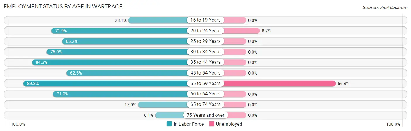 Employment Status by Age in Wartrace