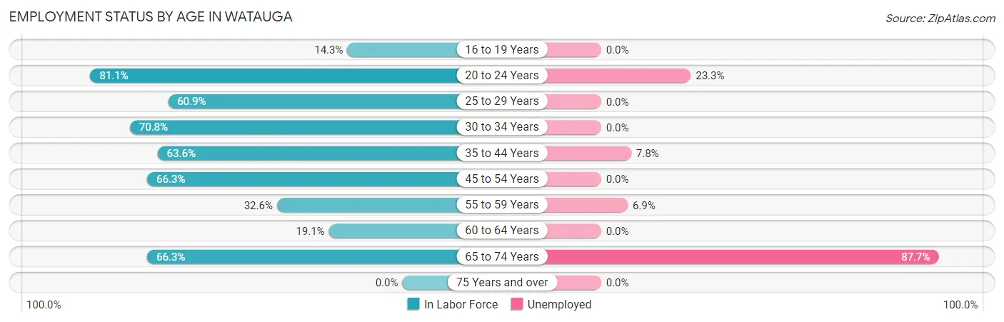 Employment Status by Age in Watauga