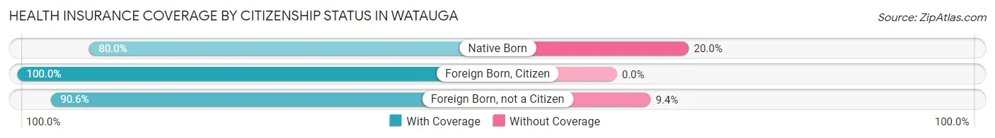 Health Insurance Coverage by Citizenship Status in Watauga