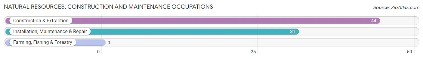 Natural Resources, Construction and Maintenance Occupations in Watertown