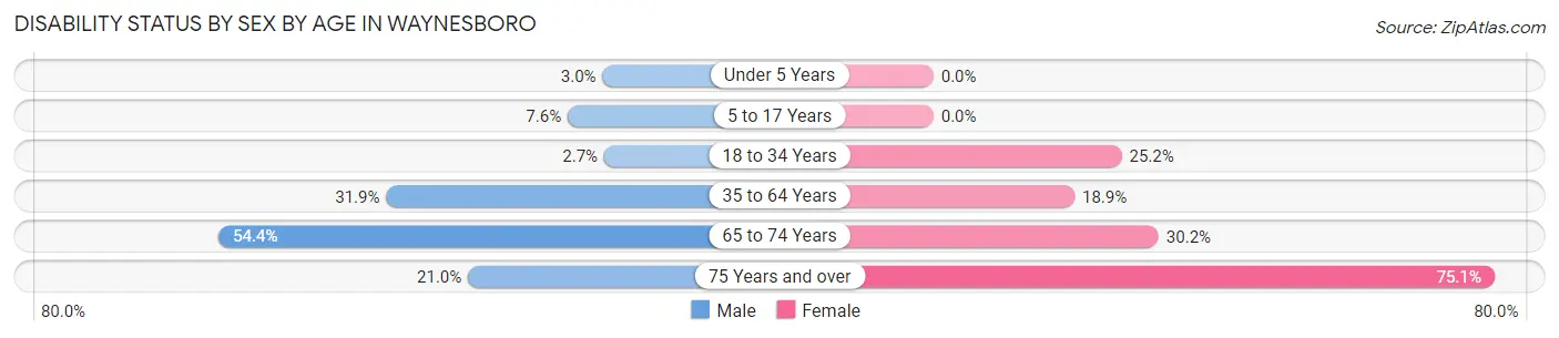 Disability Status by Sex by Age in Waynesboro