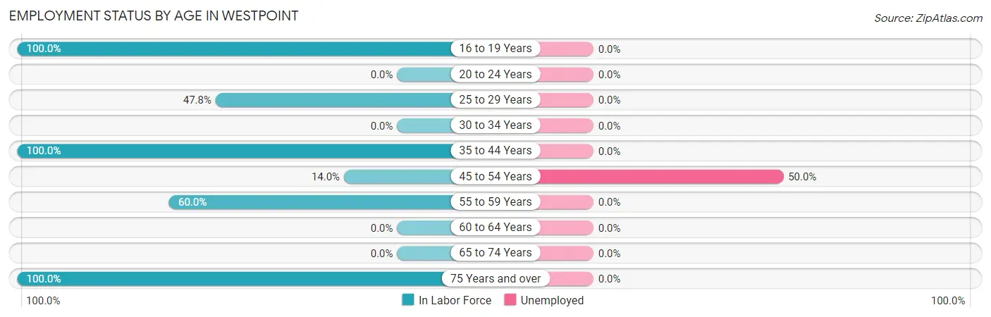 Employment Status by Age in Westpoint