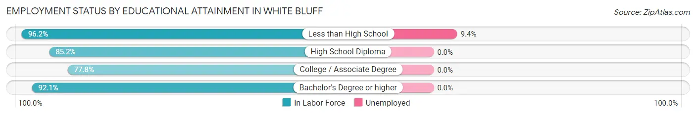 Employment Status by Educational Attainment in White Bluff