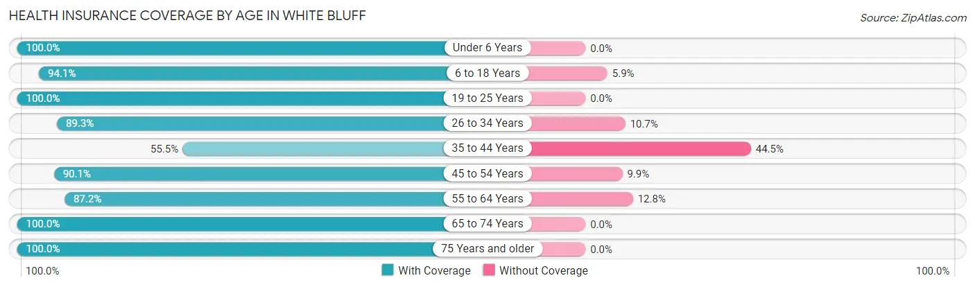 Health Insurance Coverage by Age in White Bluff