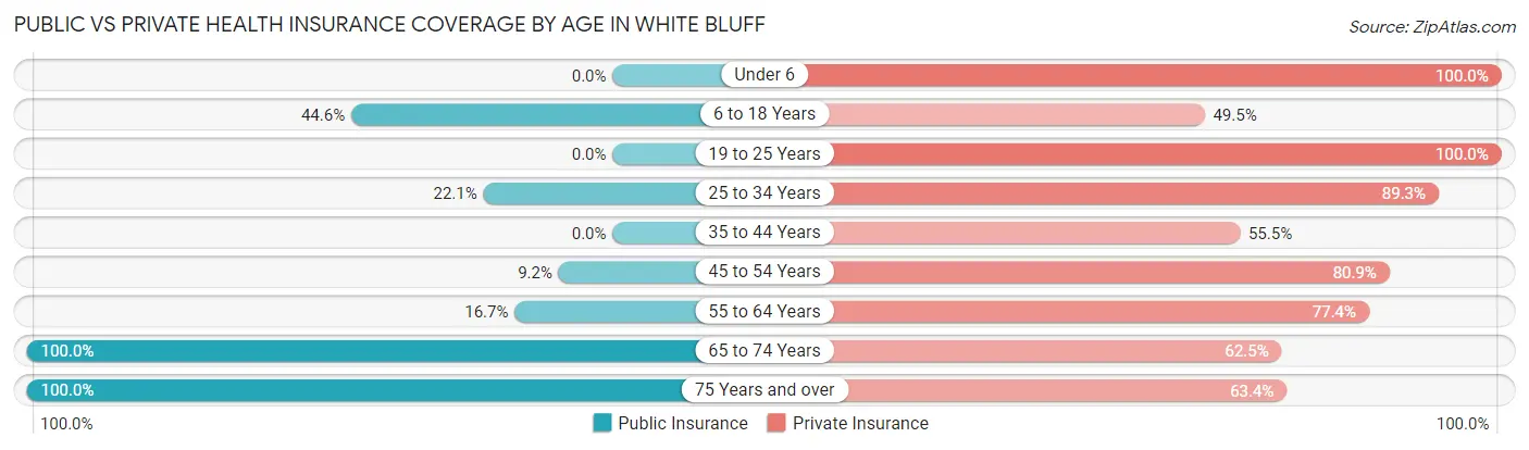 Public vs Private Health Insurance Coverage by Age in White Bluff