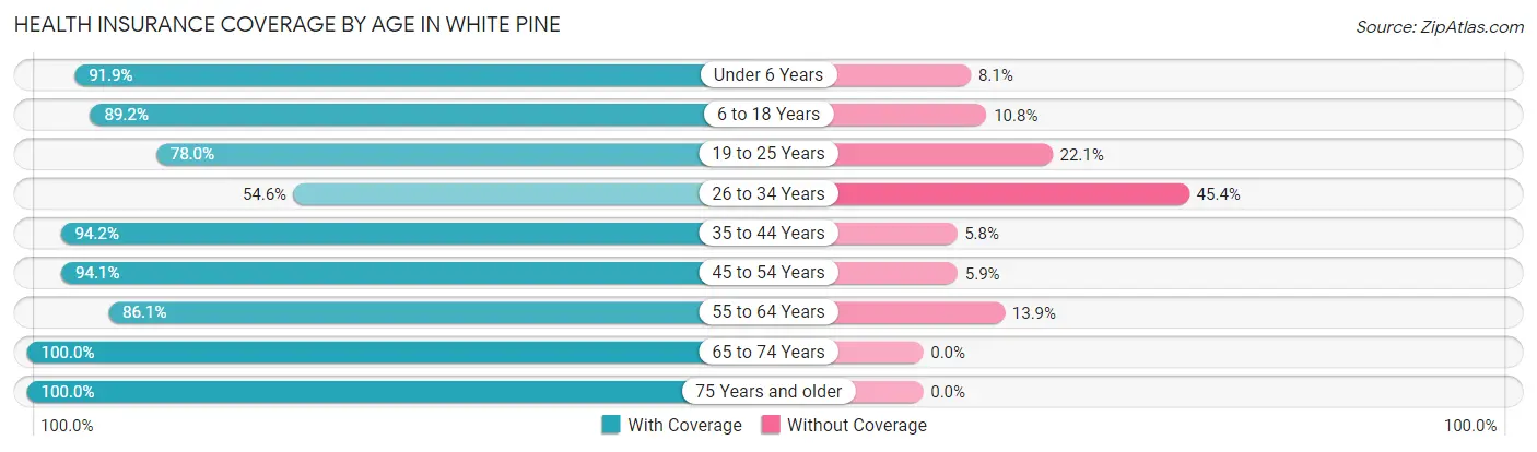 Health Insurance Coverage by Age in White Pine