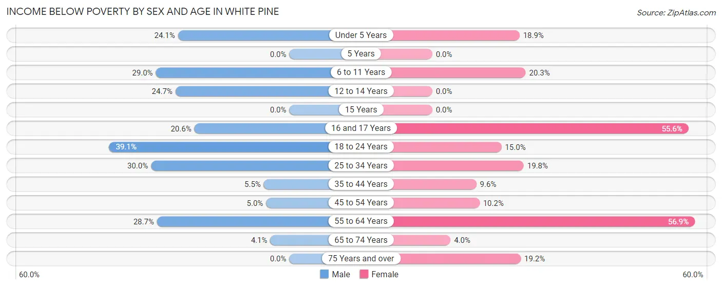 Income Below Poverty by Sex and Age in White Pine