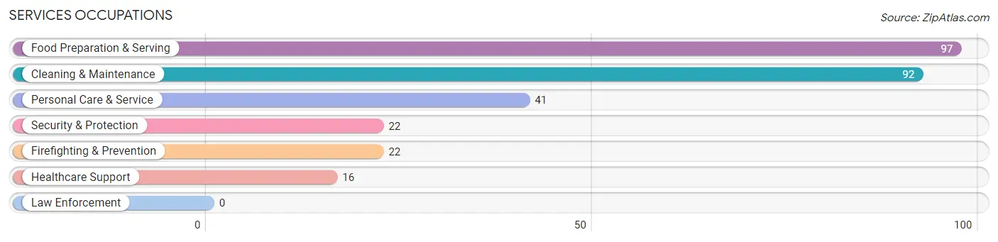 Services Occupations in White Pine