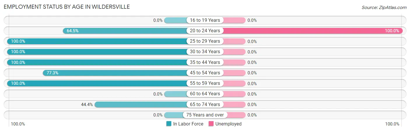 Employment Status by Age in Wildersville