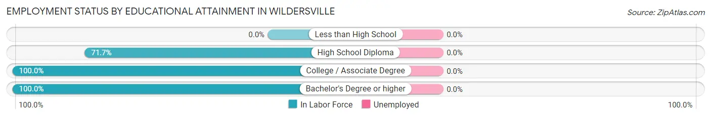 Employment Status by Educational Attainment in Wildersville