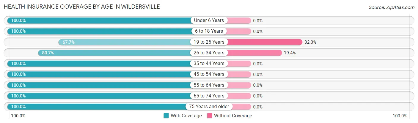 Health Insurance Coverage by Age in Wildersville