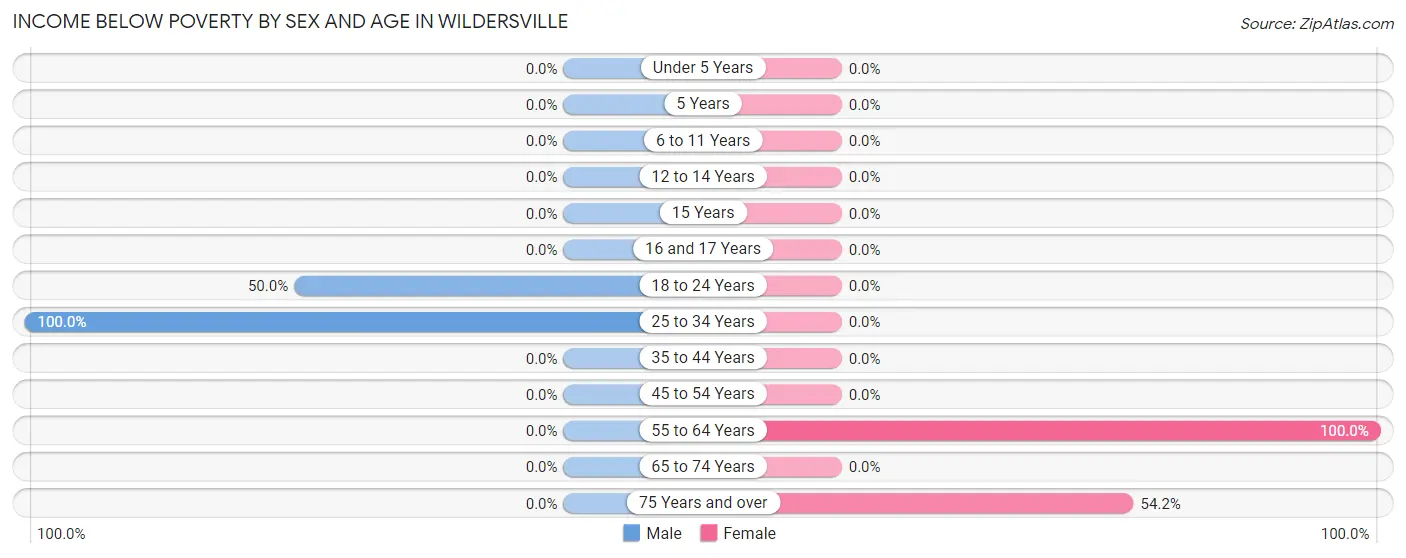 Income Below Poverty by Sex and Age in Wildersville