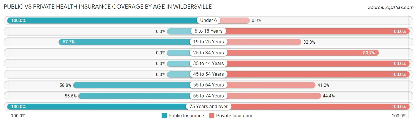 Public vs Private Health Insurance Coverage by Age in Wildersville