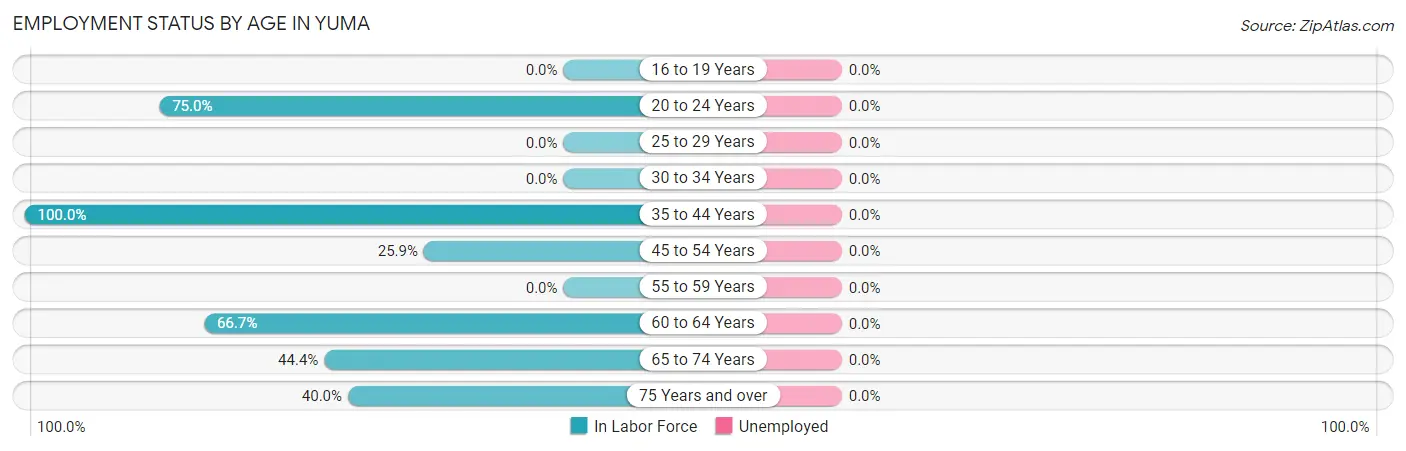 Employment Status by Age in Yuma