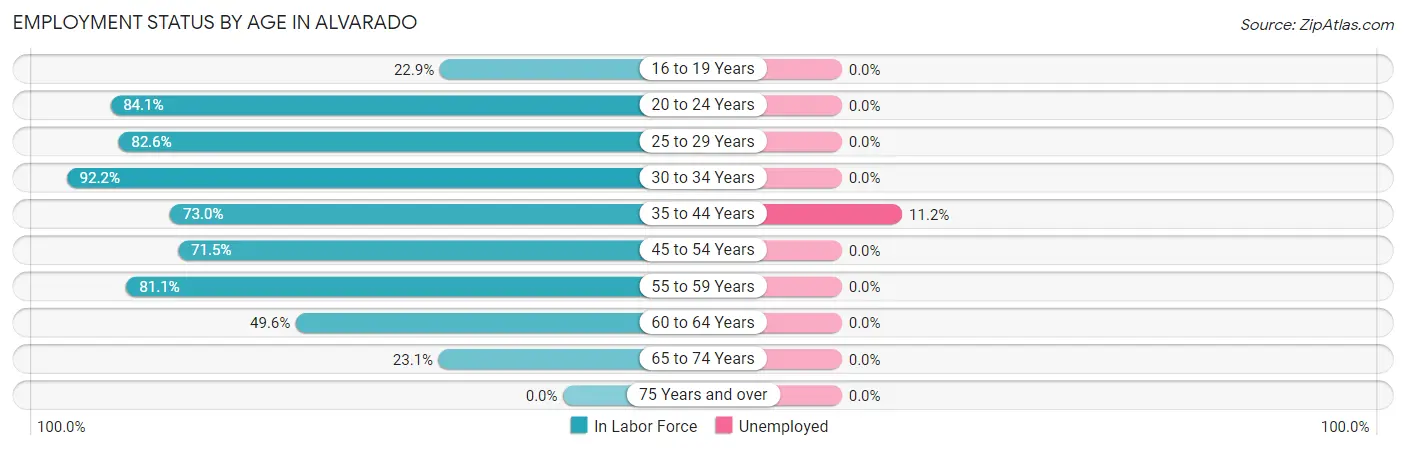 Employment Status by Age in Alvarado