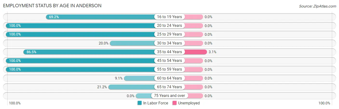 Employment Status by Age in Anderson