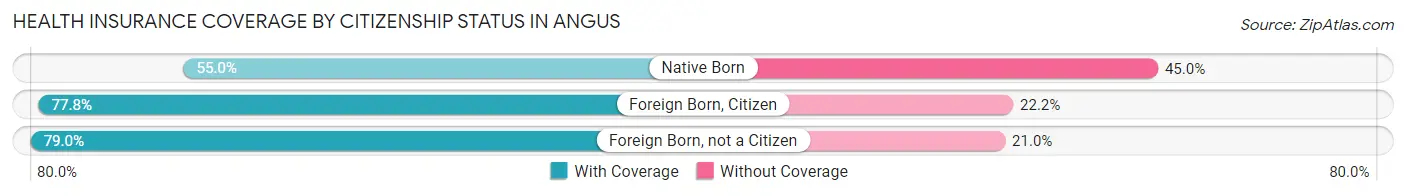 Health Insurance Coverage by Citizenship Status in Angus