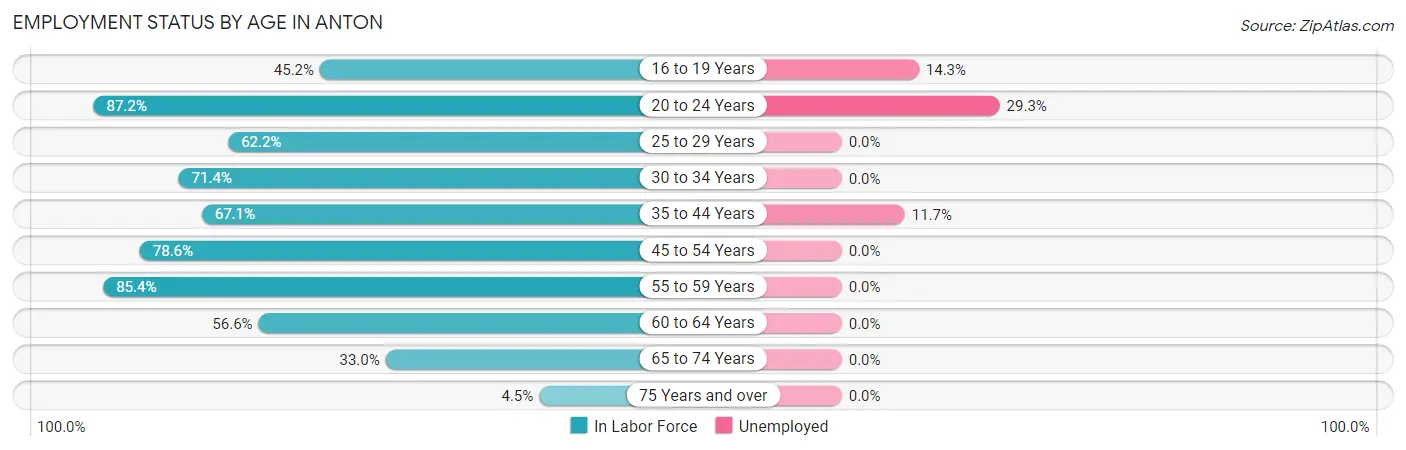 Employment Status by Age in Anton