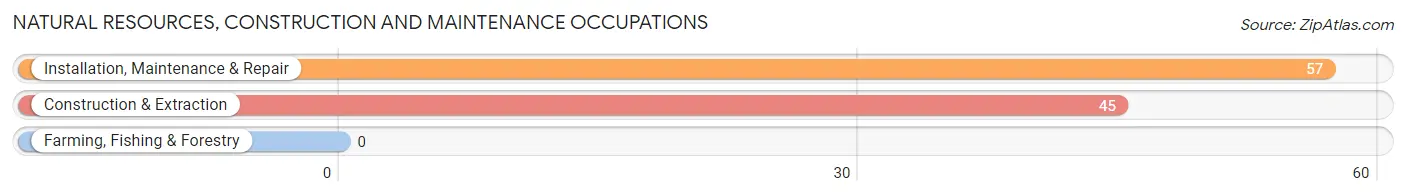 Natural Resources, Construction and Maintenance Occupations in Anton