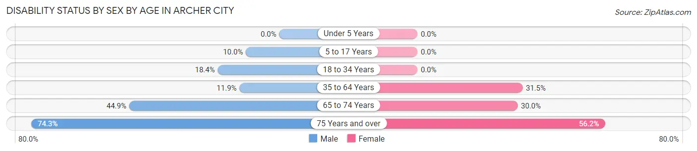 Disability Status by Sex by Age in Archer City