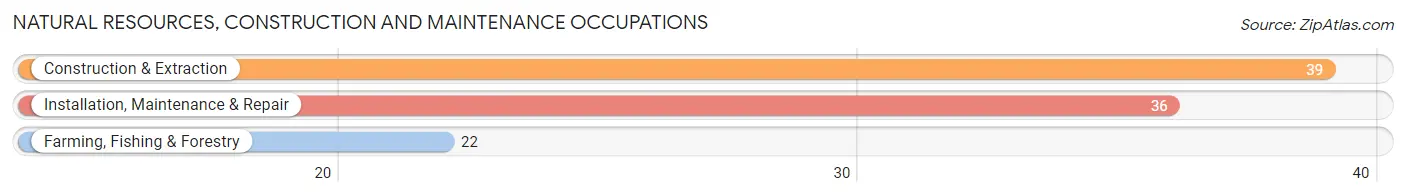 Natural Resources, Construction and Maintenance Occupations in Argyle