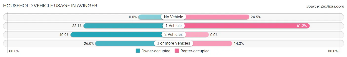 Household Vehicle Usage in Avinger