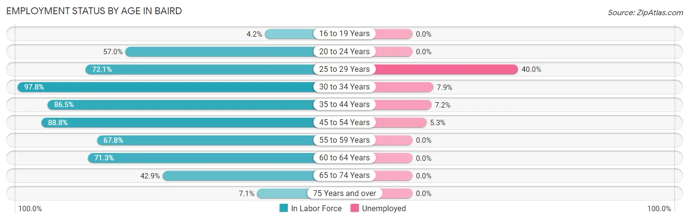 Employment Status by Age in Baird