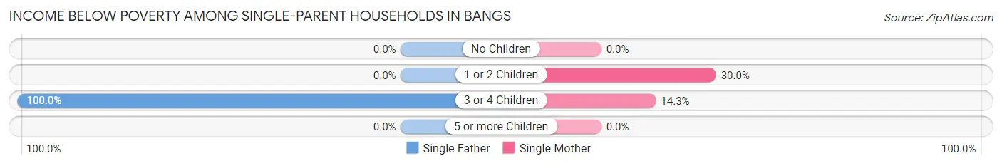 Income Below Poverty Among Single-Parent Households in Bangs