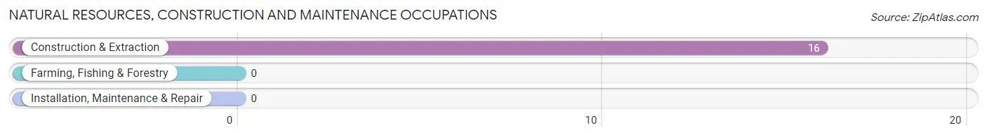 Natural Resources, Construction and Maintenance Occupations in Barry