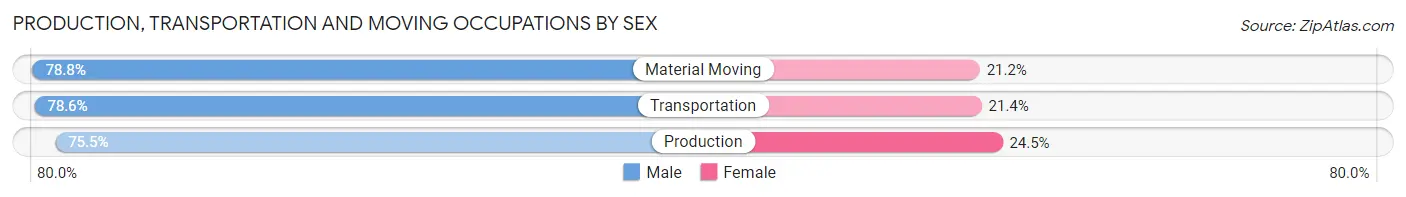 Production, Transportation and Moving Occupations by Sex in Beaumont