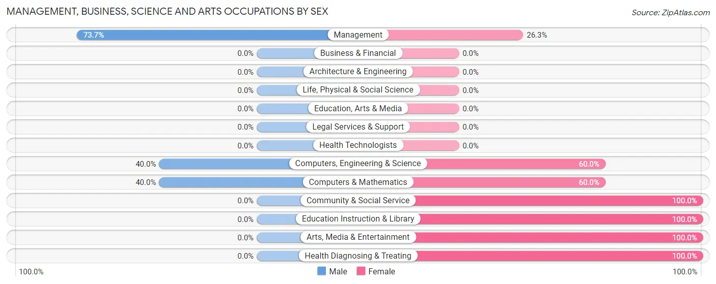 Management, Business, Science and Arts Occupations by Sex in Bedias