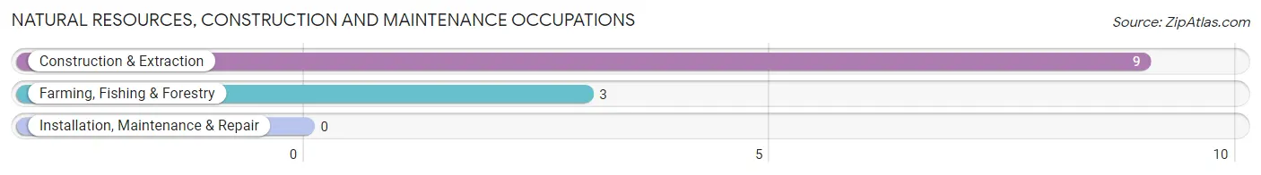 Natural Resources, Construction and Maintenance Occupations in Bedias