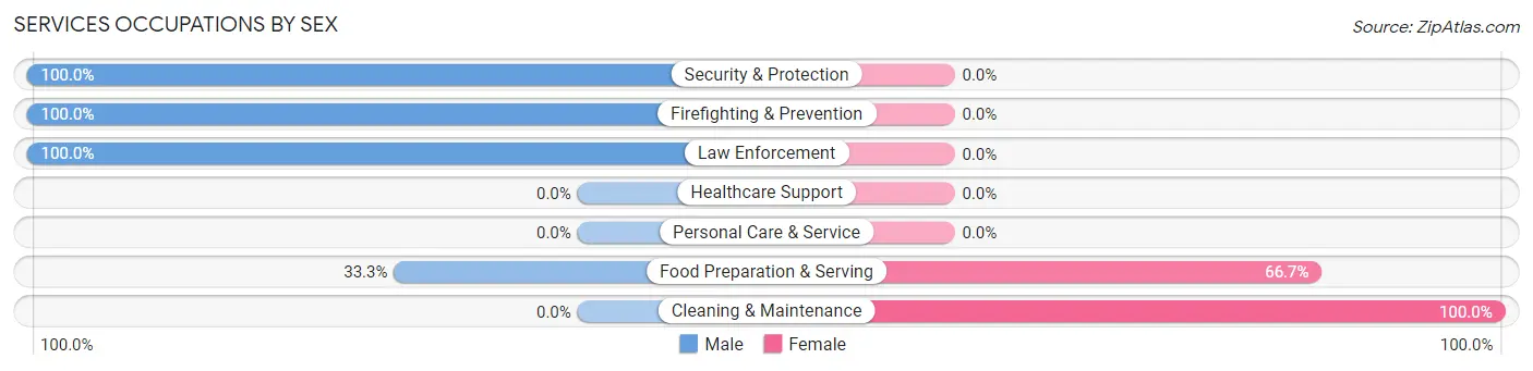 Services Occupations by Sex in Bedias