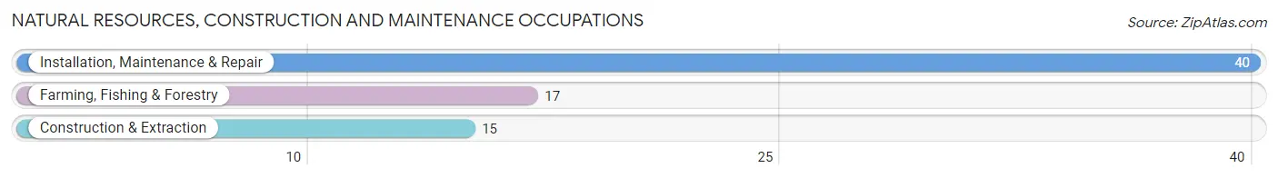 Natural Resources, Construction and Maintenance Occupations in Bells