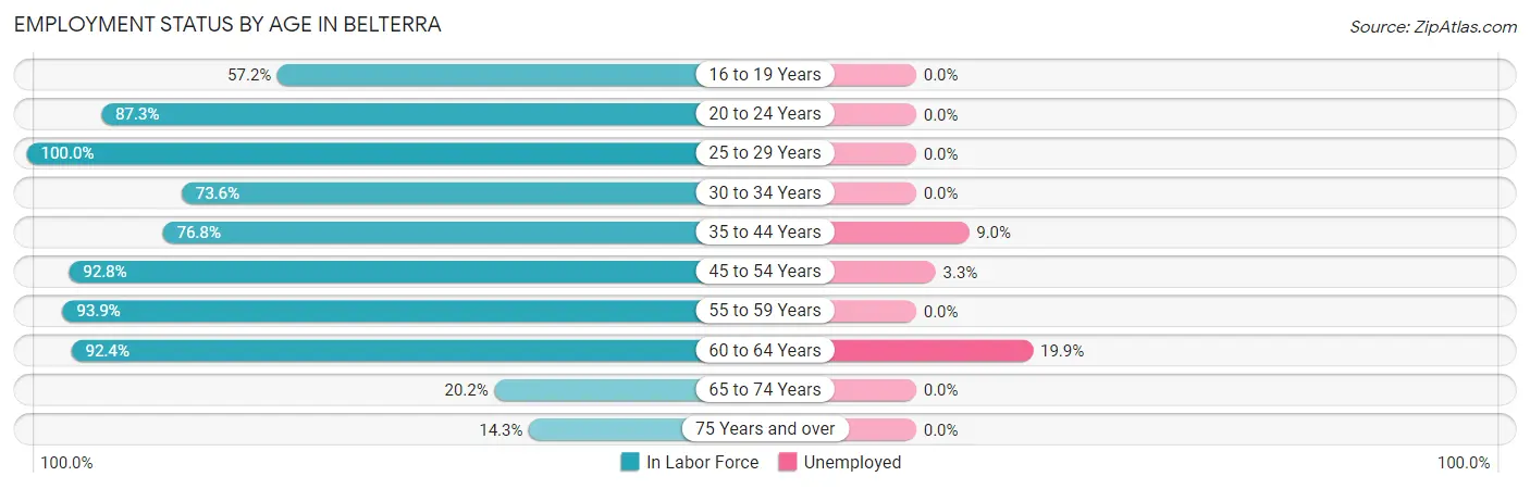 Employment Status by Age in Belterra