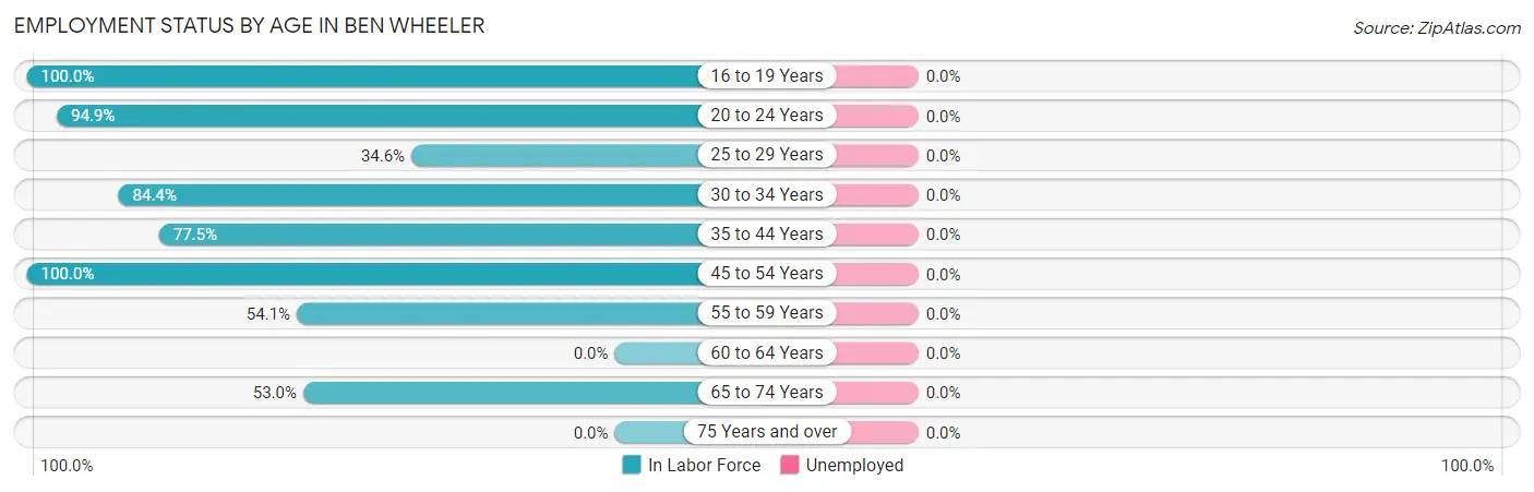 Employment Status by Age in Ben Wheeler