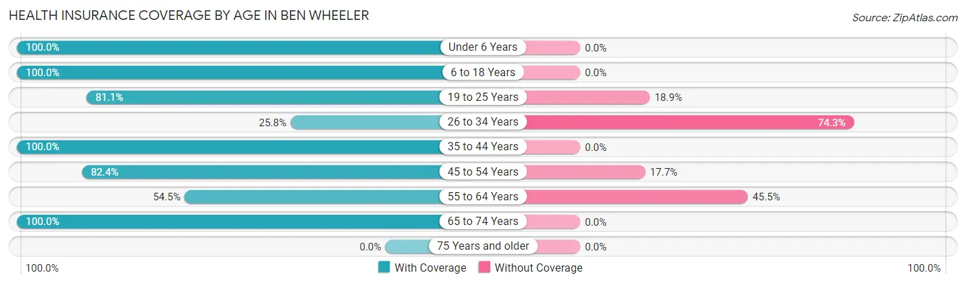 Health Insurance Coverage by Age in Ben Wheeler