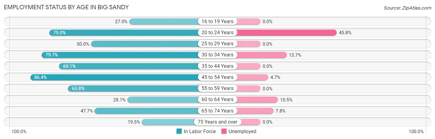 Employment Status by Age in Big Sandy