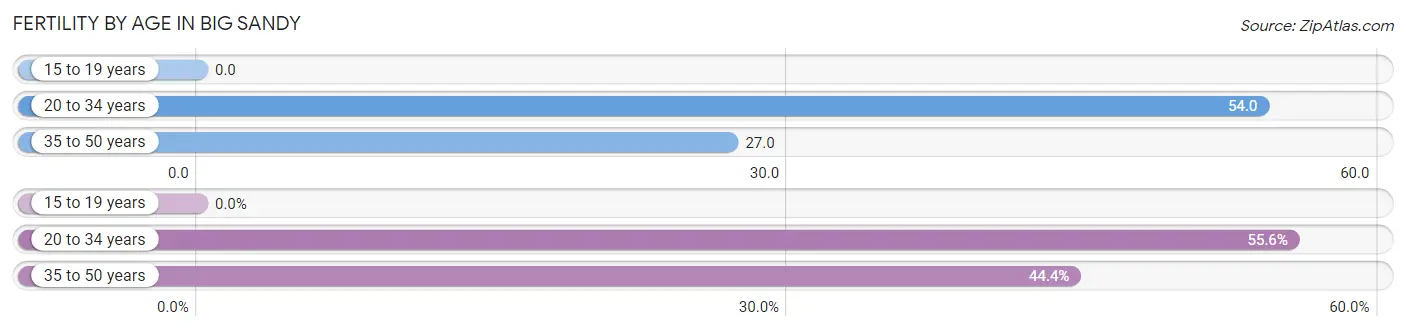 Female Fertility by Age in Big Sandy