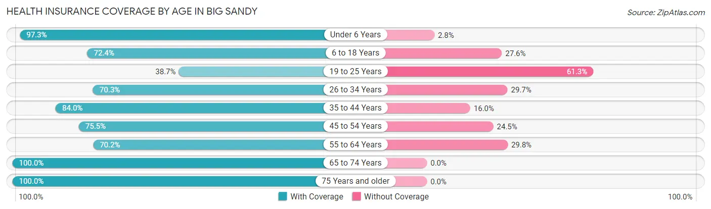 Health Insurance Coverage by Age in Big Sandy