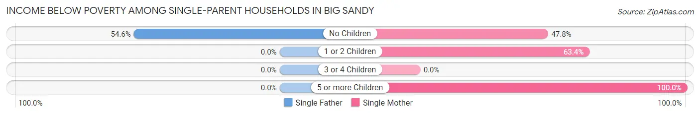 Income Below Poverty Among Single-Parent Households in Big Sandy