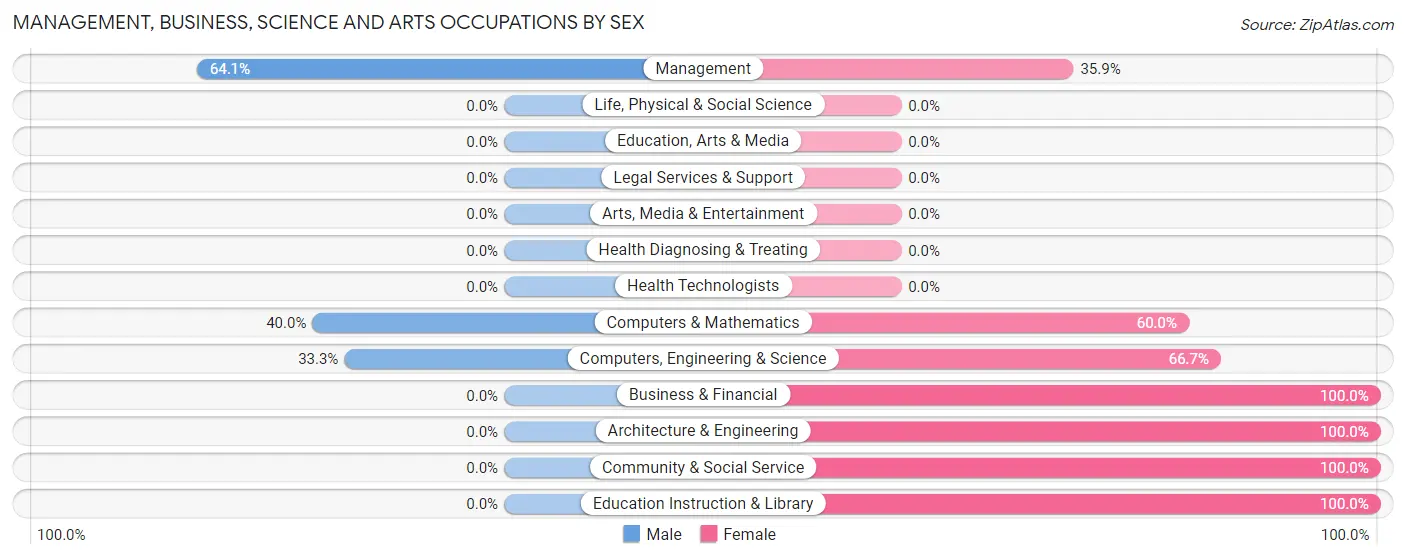 Management, Business, Science and Arts Occupations by Sex in Big Sandy