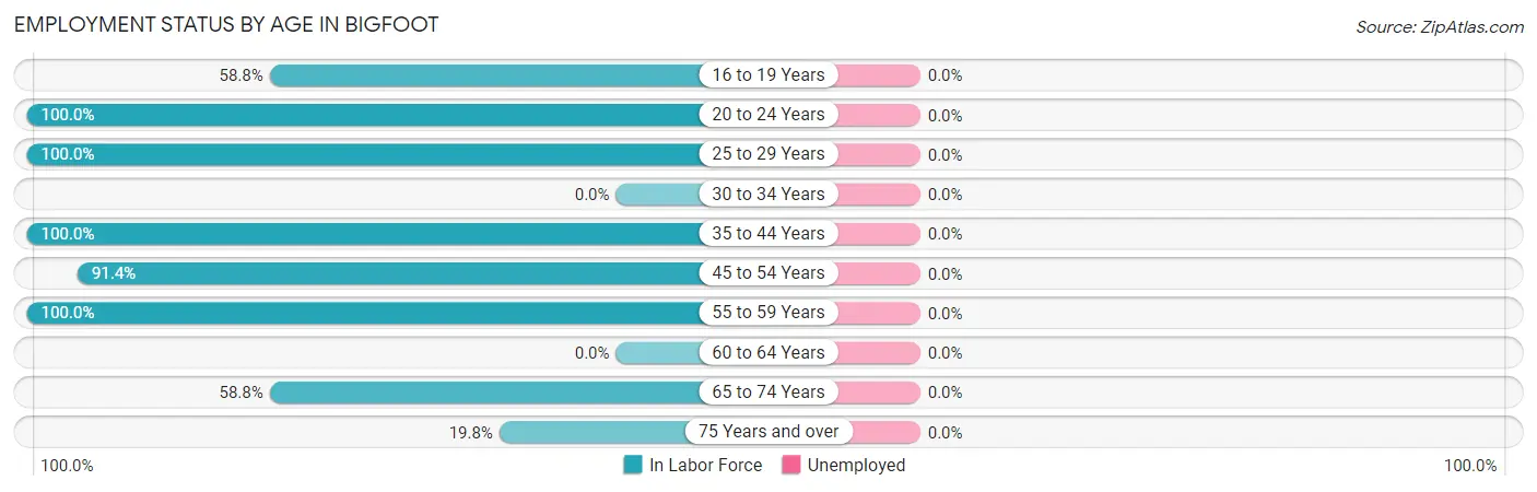 Employment Status by Age in Bigfoot