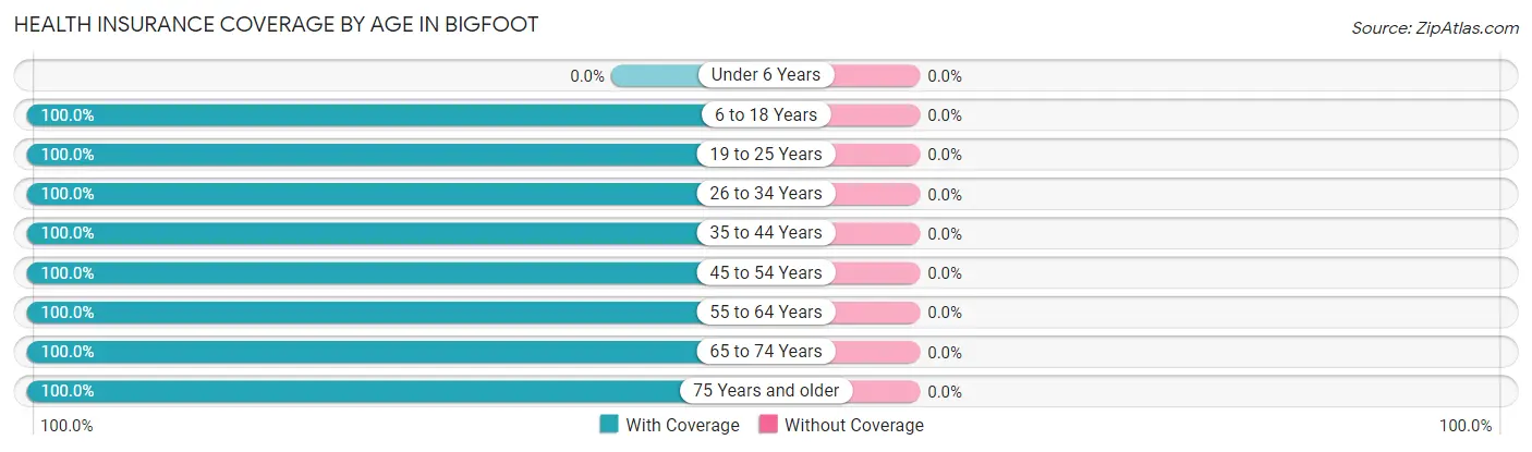 Health Insurance Coverage by Age in Bigfoot
