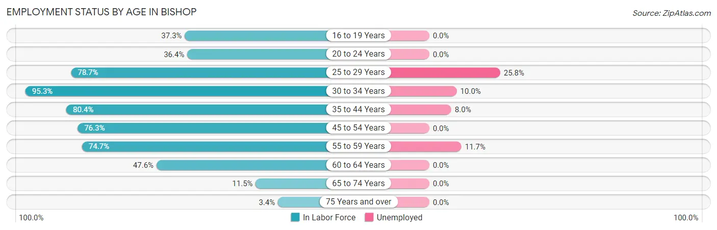 Employment Status by Age in Bishop