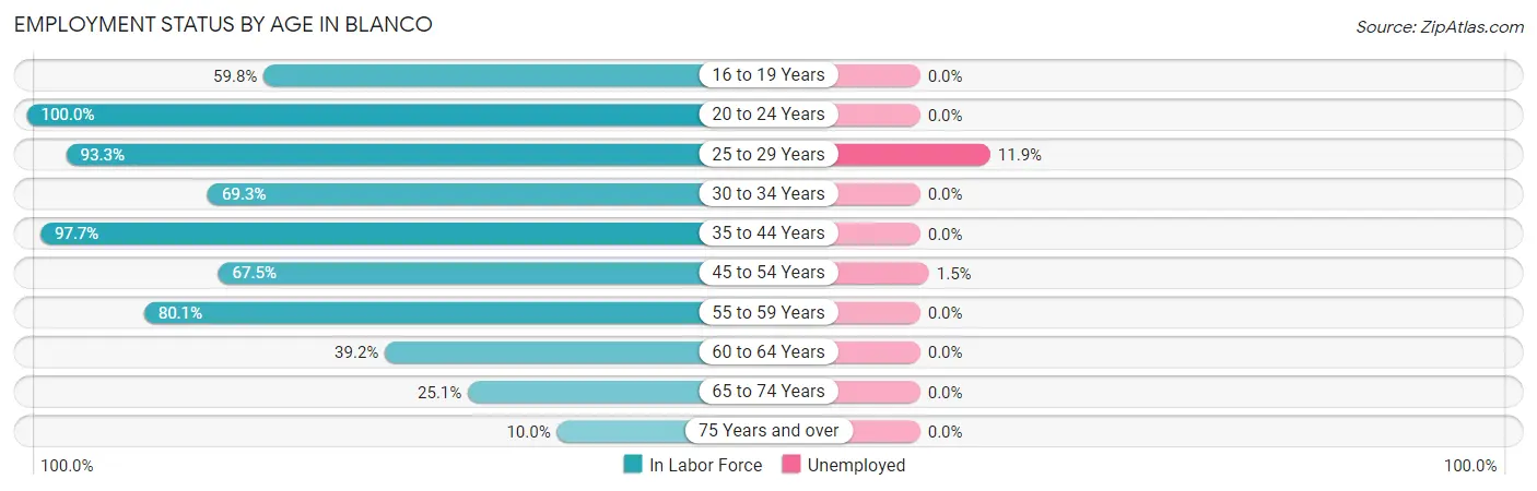 Employment Status by Age in Blanco