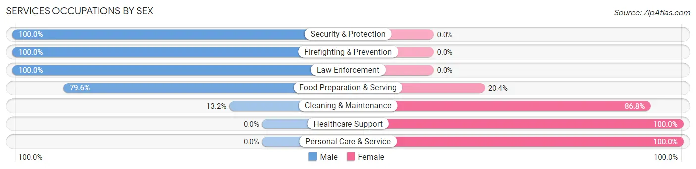 Services Occupations by Sex in Blanco